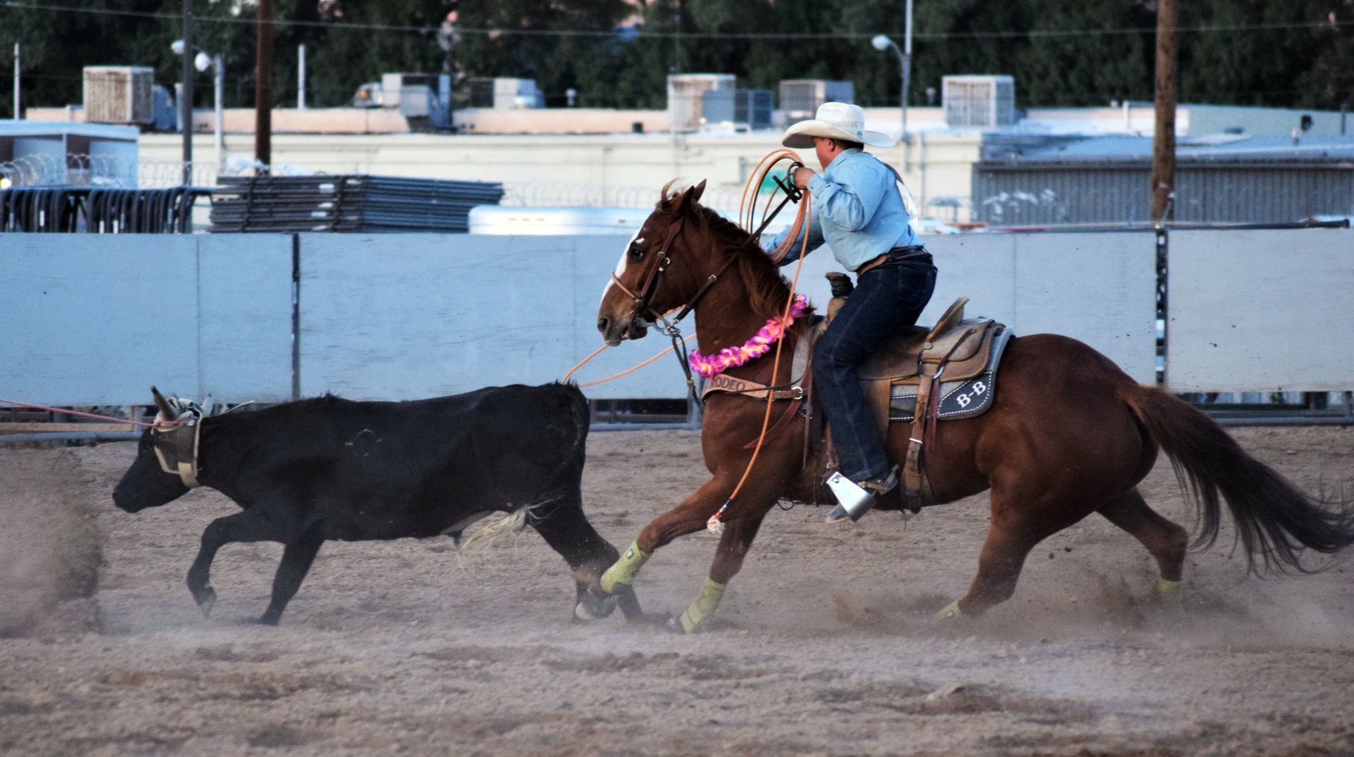 Nevada State Junior High School Finals Rodeo (7).JPG
